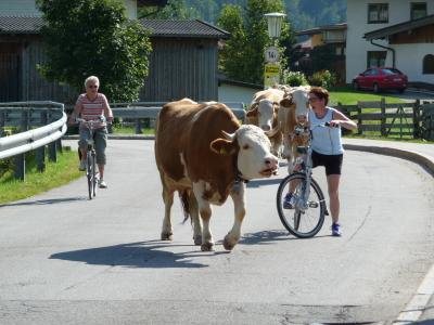 Onverwachts bezoek onderweg